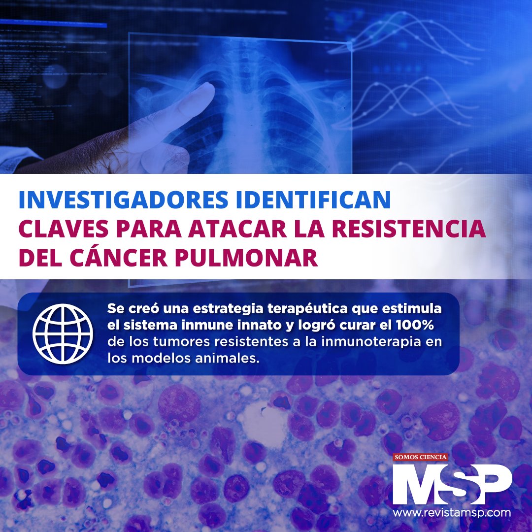 RevistaMSP's tweet photo. #MSPInvestigación I ¡Esperanzador! Detalles: https://t.co/zk25rkSHA5
#MSP: El lugar donde médicos, profesionales de la salud y pacientes pueden entrar. #MSPLíderesPioneros
#MSPLegadoQueInspira #Cáncerpulmonar #Resistencia https://t.co/qCTZaODeyI