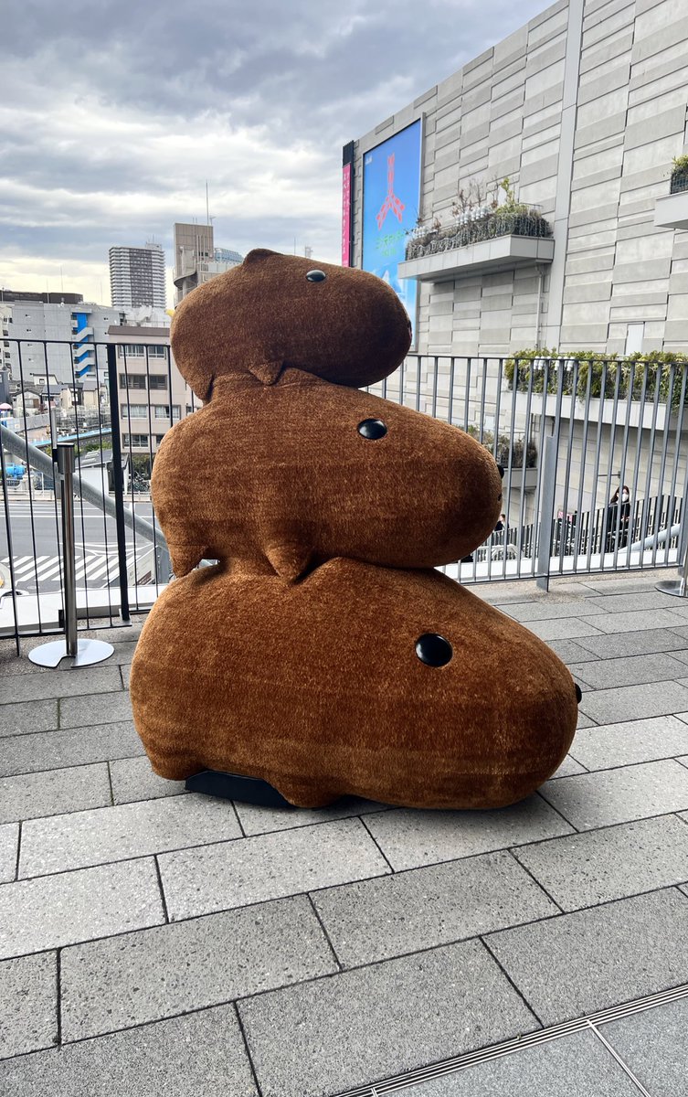 かわいい❤️
＃カピバラさん
＃カピ活
＃ソラマチ