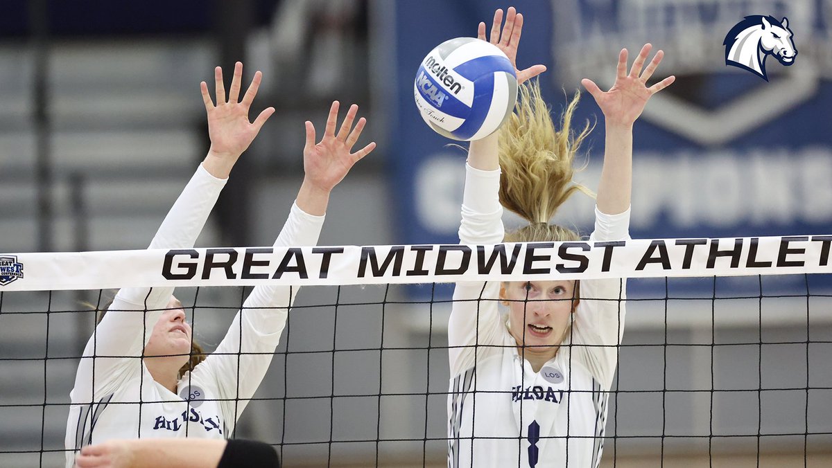 Hillsdale College Chargers tweet media