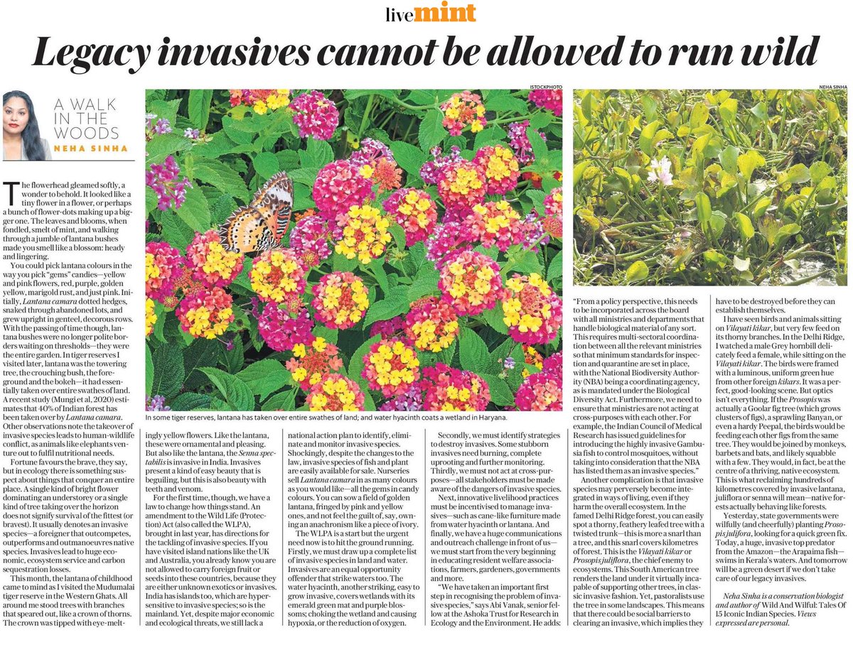 We have a good looking problem on hand. 
Invasive species that are taking over our land and water. We now have a legal framework to tackle this, but no National Action Plan. The time to act is now! #AWalkInTheWoods