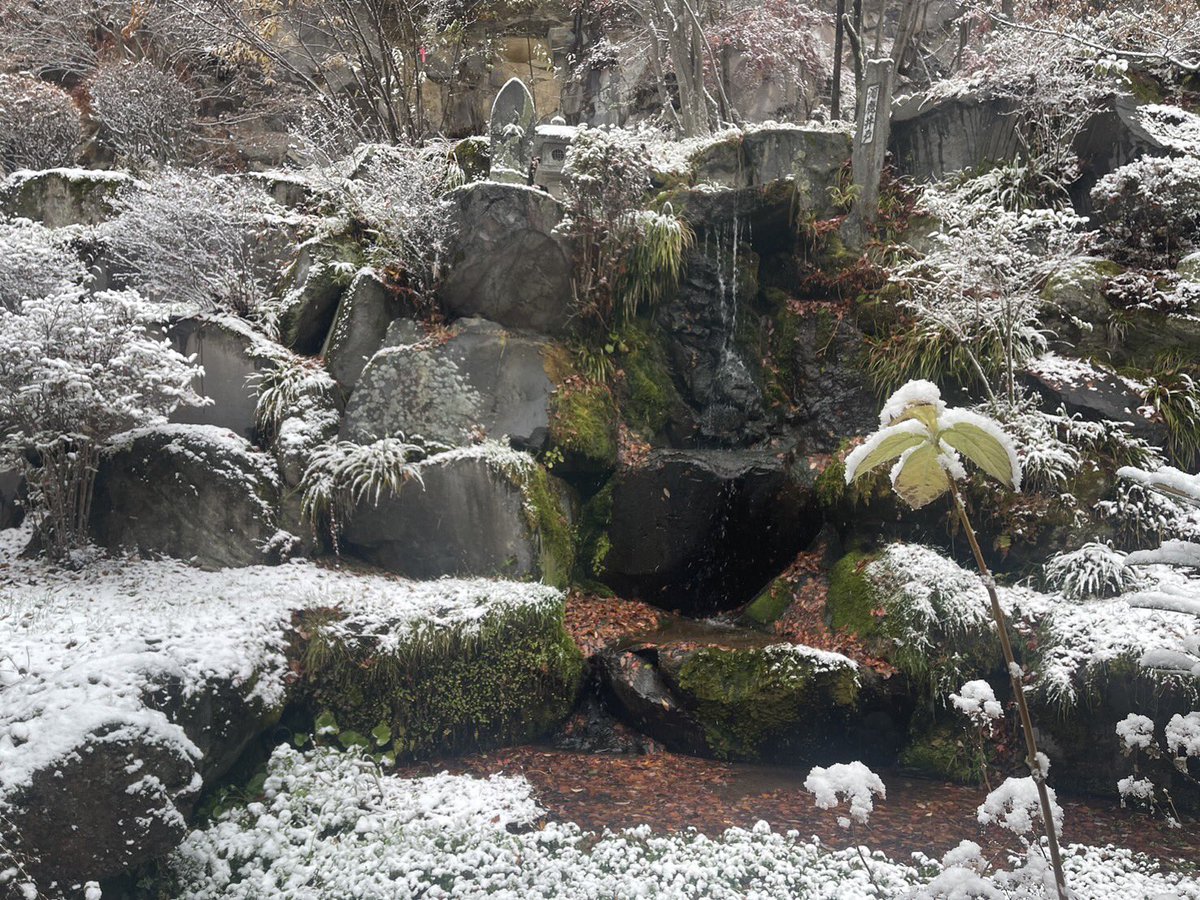 Kiyo_fl's tweet photo. 朝は雪化粧
とても綺麗 https://t.co/BK9FiWBdOV