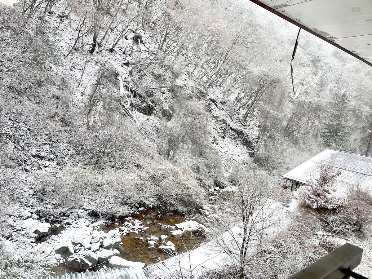 Kiyo_fl's tweet photo. 朝は雪化粧
とても綺麗 https://t.co/BK9FiWBdOV