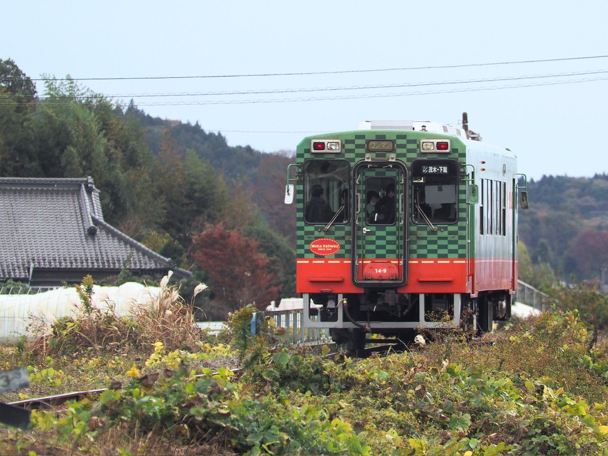 kotama64's tweet photo. 今日は久しぶりに撮り鉄！
真岡鐵道を撮ってます
#写真好きな人と繋がりたい 
#ファインダー越しの私の世界 
#撮り鉄 
#真岡鐵道 https://t.co/Lwl3pdlieJ
