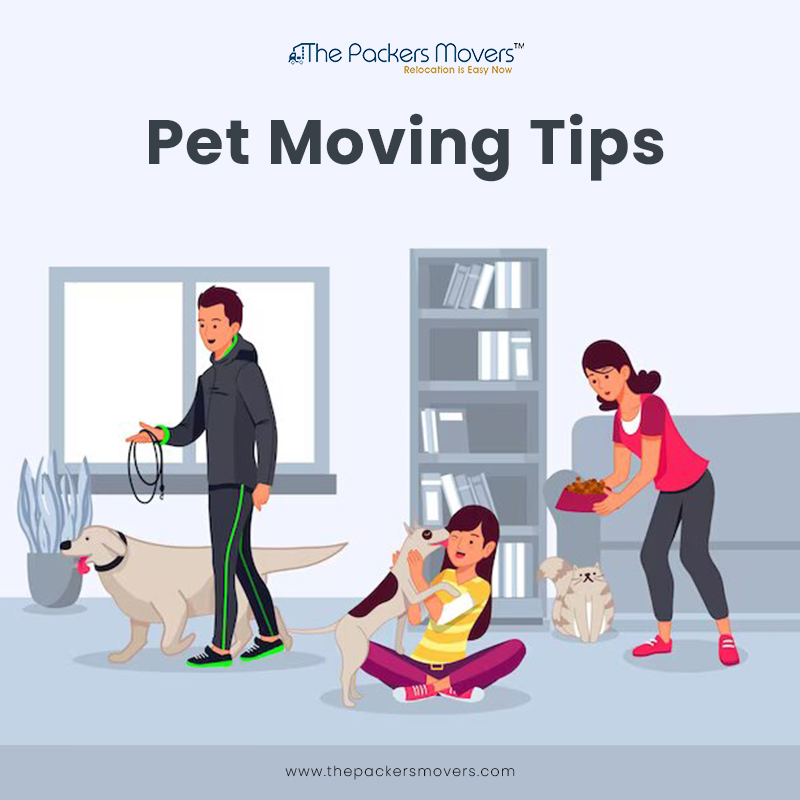 thepackermover's tweet image. If you do not know about shifting pets, these pet moving tips will be extremely useful for you. Click here know more. thepackersmovers.com/moving-tips/pe…

#thepackersmovers #petmovingtips #petmoving #tips #movingtips