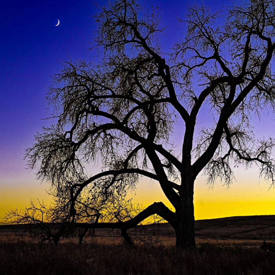 BGreeneVisuals's tweet photo. #photography #photooftheday #love #photo #nature #picoftheday #photographer #beautiful #follow #travel #naturephotography #art #happy #colorado #coloradophotography #coloradolife #denver #sky #denvercolorado #denver #wildlife #skyporn #outdoors #sunset #tree #prairie https://t.co/Jm2eEZe1IK