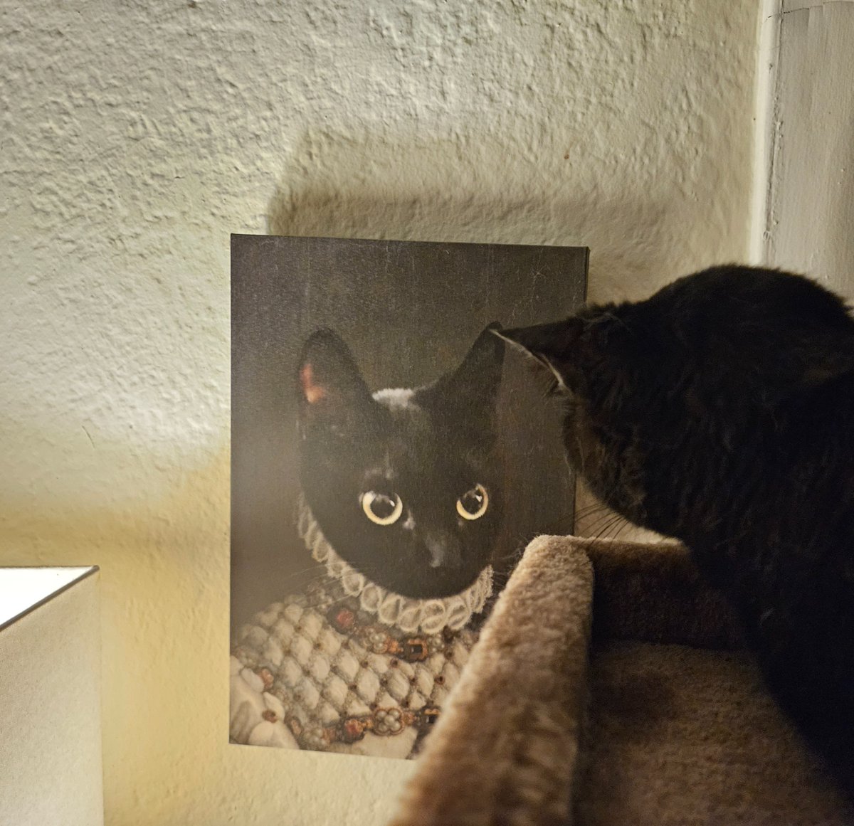 My cat's favorite spot is where she can just stare at her own portrait all day.