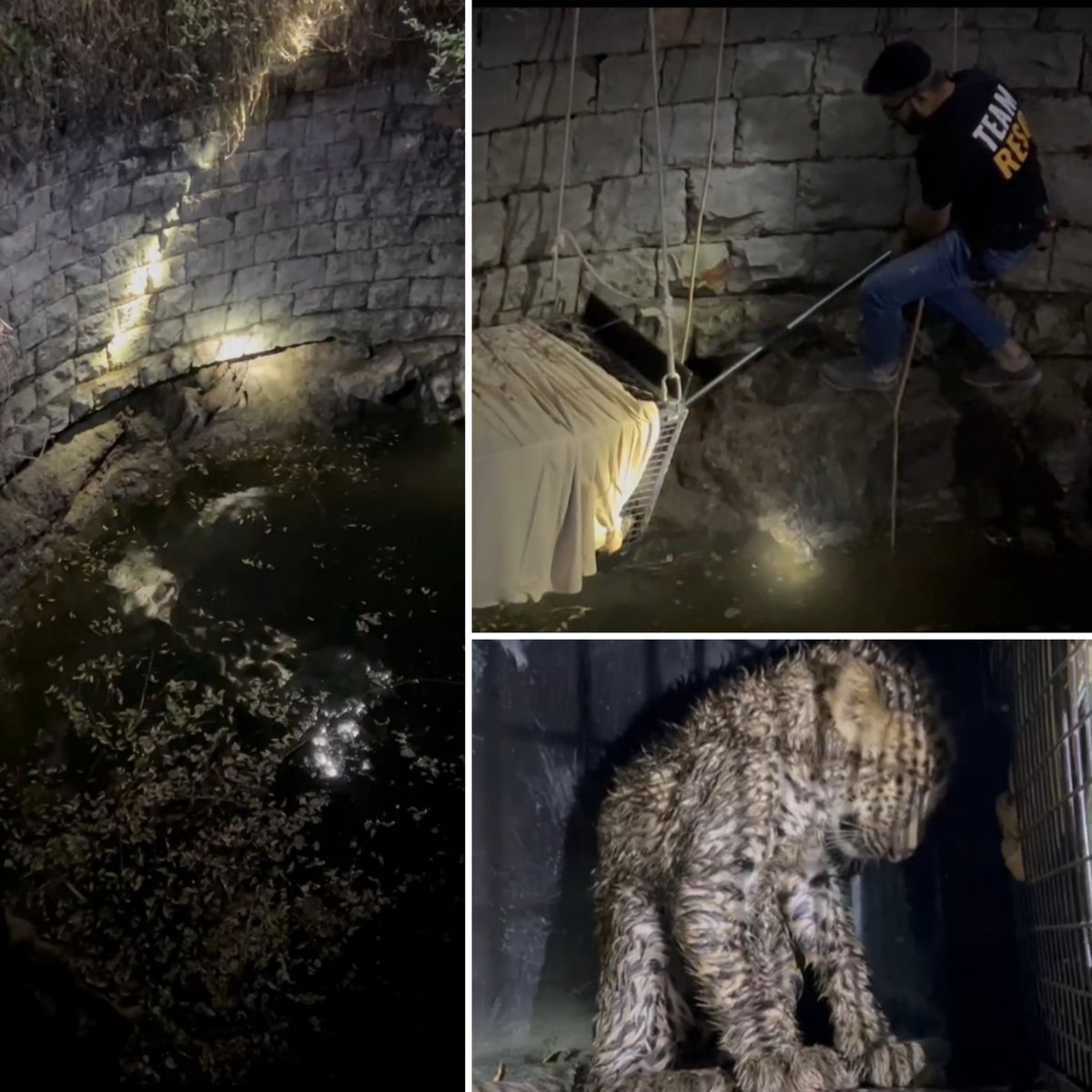 Neha Panchamiya tweet media