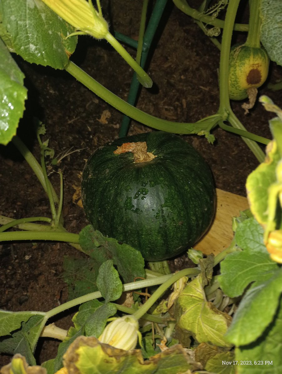 HugAThugProgram's tweet image. 