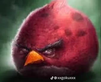 inaakxv's tweet photo. cada vez que reposteas esto un fan de digital bodrio es esclavizado. https://t.co/dilmTipzQY