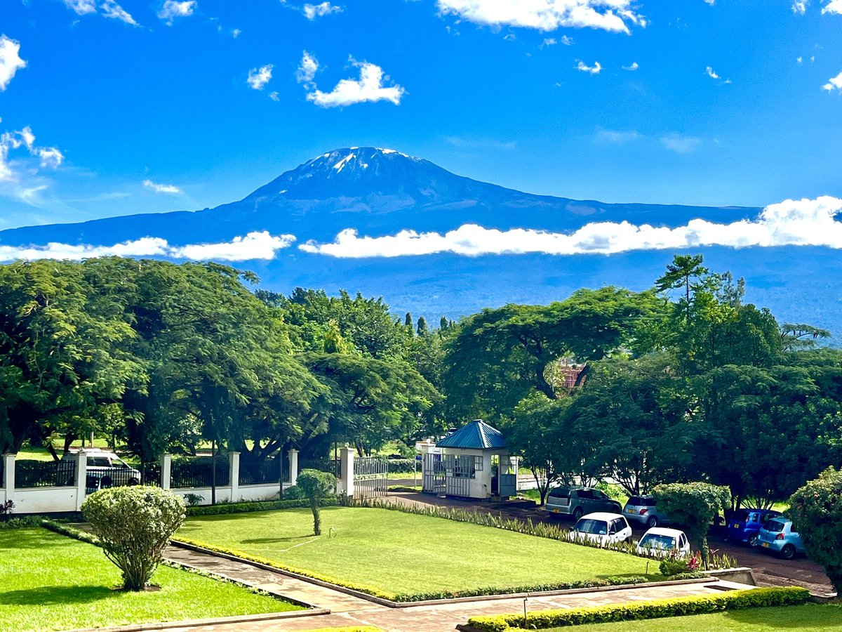 #KCMUCo - Moshi, Tanzania is surrounded by greenery, while the majestic Mount Kilimanjaro stands tall in the background. 

Beautifully captures the harmony between education and nature in perfect balance , leaving us in awe and feeling peaceful. #KCMUCo #MountKilimanjaro
🌲  🏔️