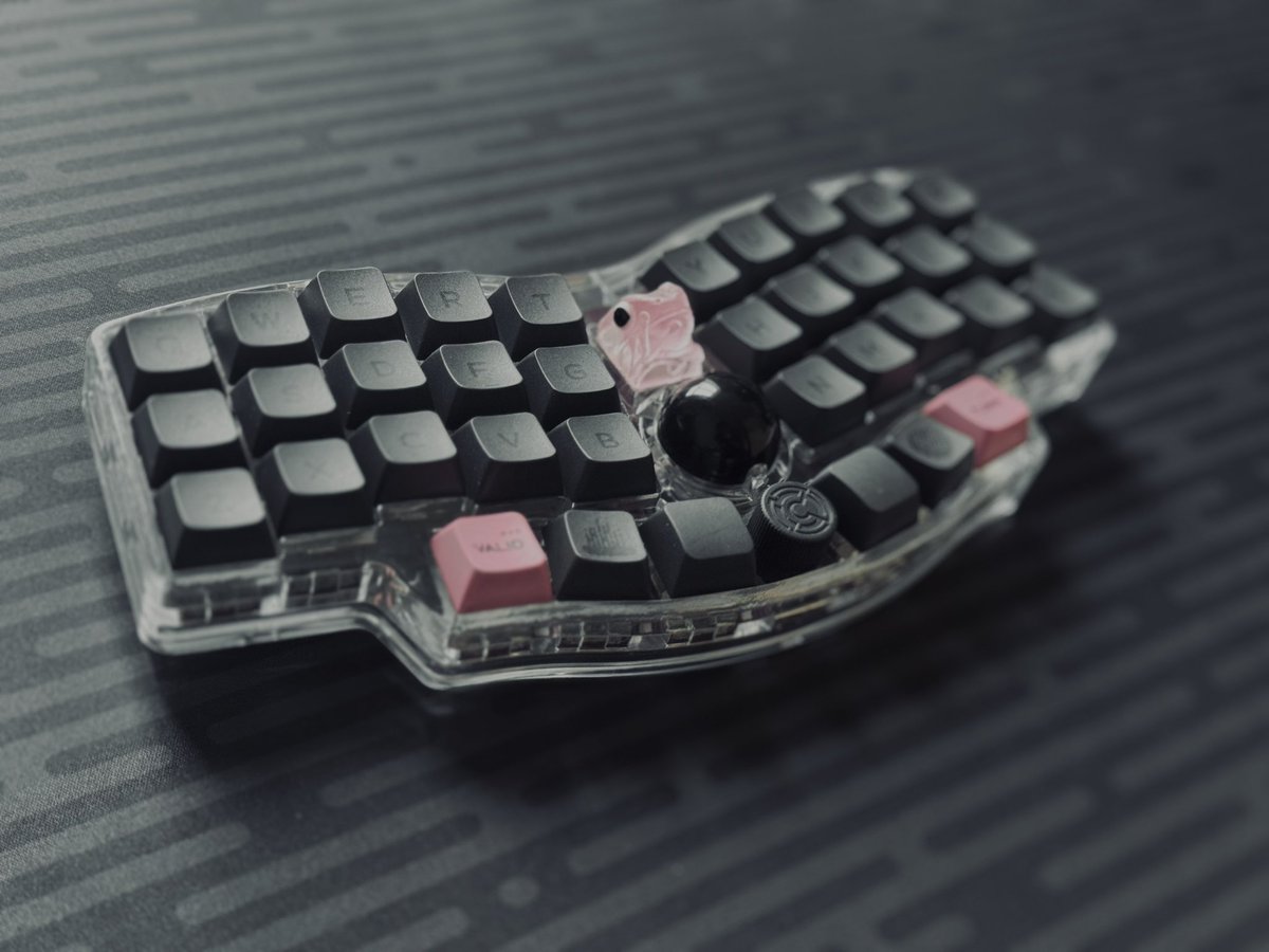 pykc様❣️専用ページ❣️15cm にゃんにゃんさん専用