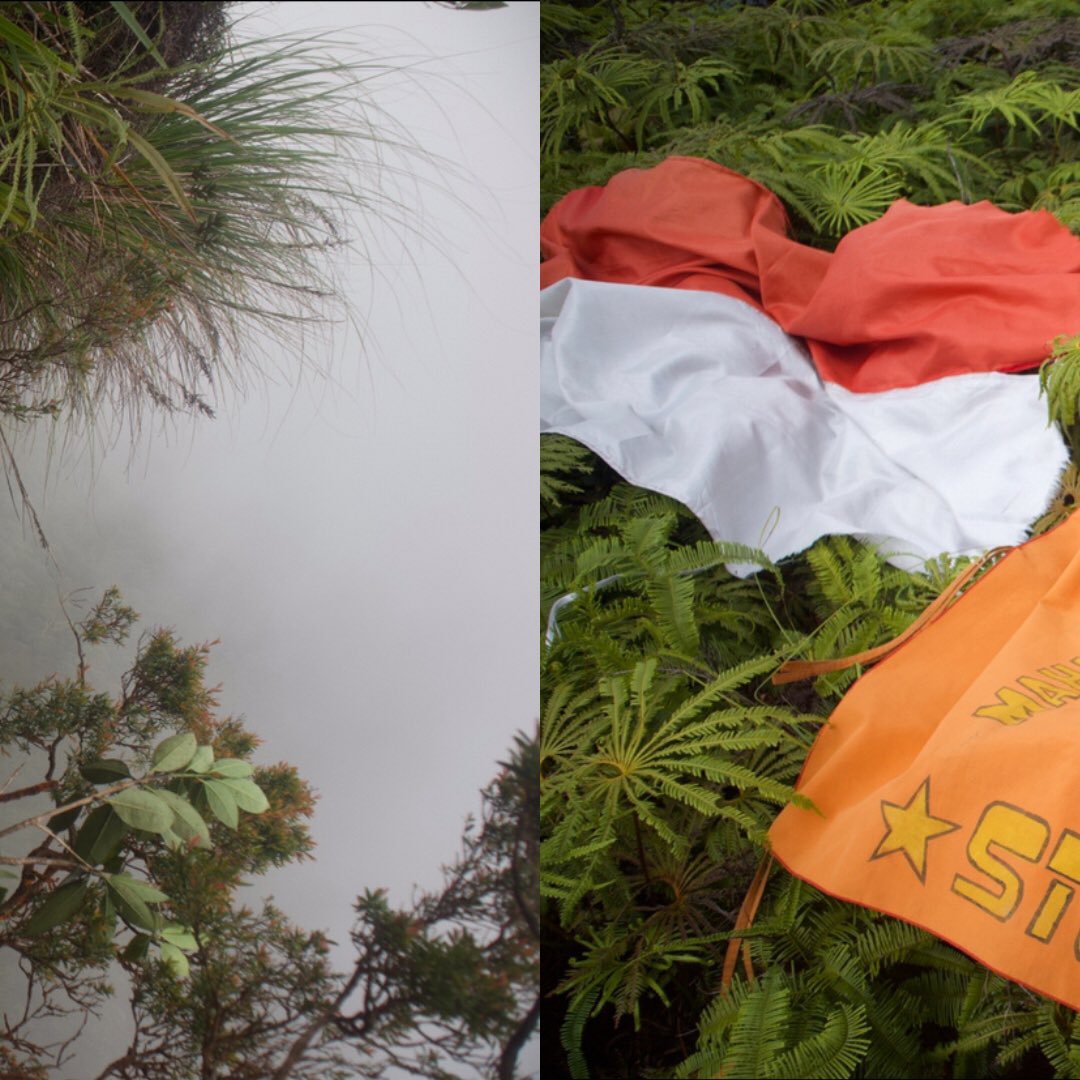 Mapala_SIGINJAI's tweet photo. 🧗🏻‍♀️:: [ EKSPEDISI BUNDA TANAH MELAYU ]

Salam lestari✊🏻🍃
Ekspedisi Bunda Tanah Melayu merupakan kegiatan pendakian gunung daik hingga pemanjatan tebing gunung daik yang mana bertujuan untuk mencapai puncak paling tinggi yang belum pernah dicapai para pendaki. https://t.co/s1Ys1vp9uy