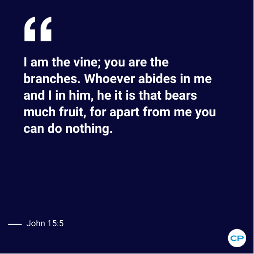 ChristianPost's tweet photo. As branches, our strength comes from being rooted in the Vine. In Him, we find purpose, strength, and the ability to bear abundant fruit. 🌿🌟 #AbideInHim #John155" https://t.co/9RTQi9g4fV