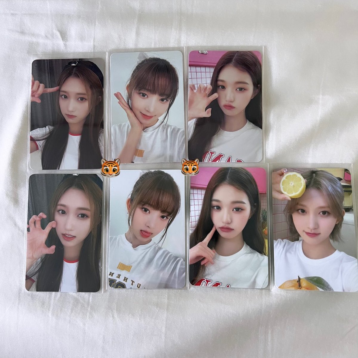 zzaebicart's tweet photo. ˚ ༘ wts lfb ph help rt

ive sg 2023 pobs

ꔛ onhand; tingi
ꔛ payo
ꔛ rei blep + wony pcs ₱600ea
ꔛ the rest is ₱250ea

# ive 2023 sg pobs leeseo gaeul rei blep wony wonyoung pc https://t.co/nwuO0HxA2o