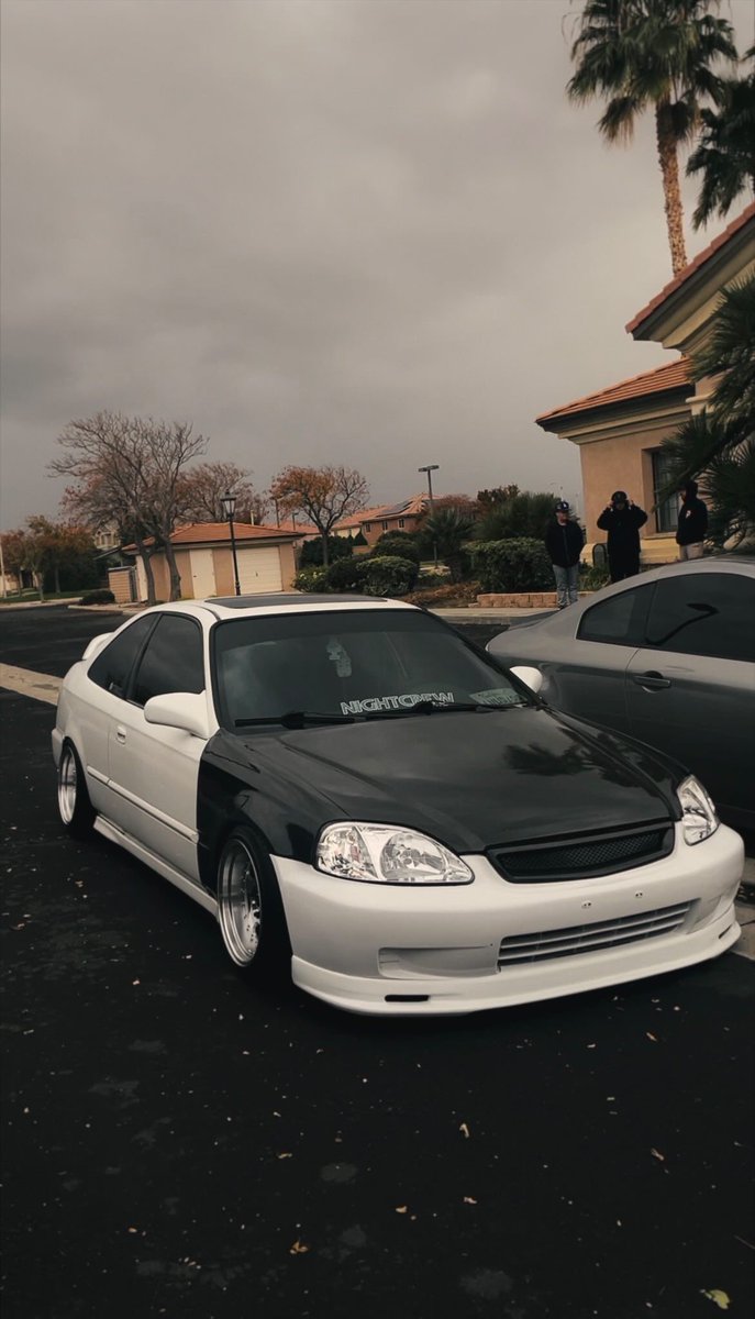 ExtinctCruz's tweet image. dazzling