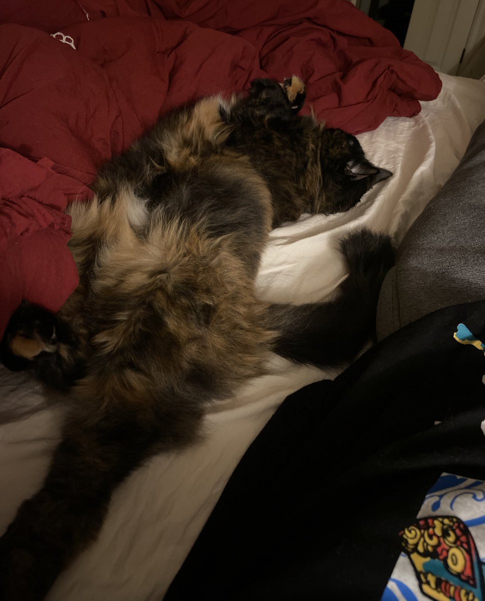 angsteez's tweet photo. my heart. my soul. my everything. https://t.co/CJGgoZfDTQ