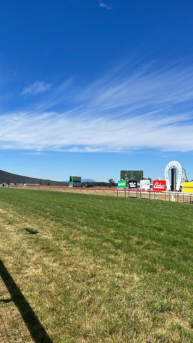 Connor Dixon tweet media