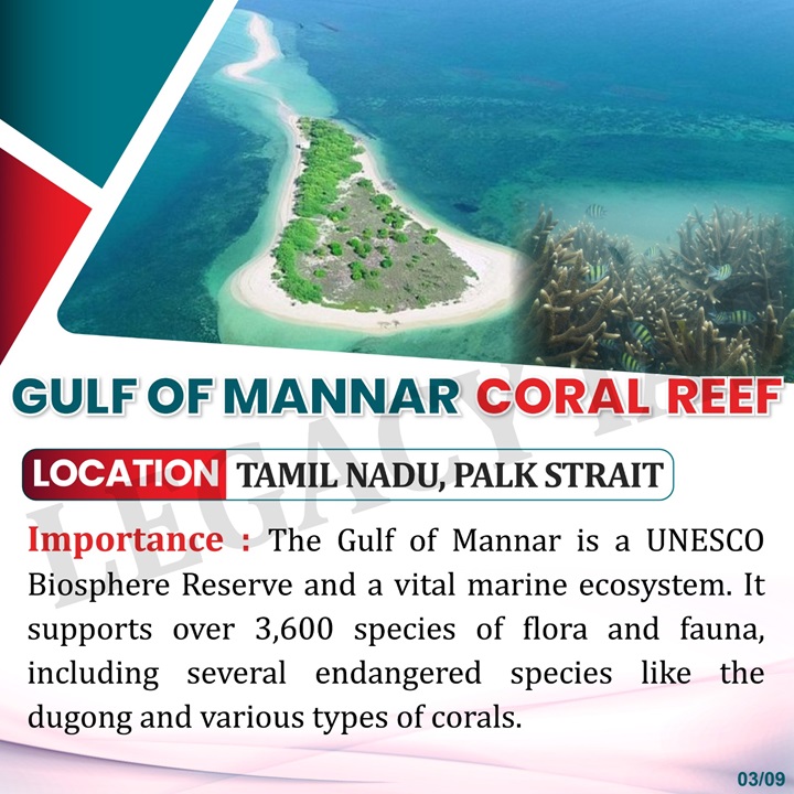 Legacy_ias's tweet photo. Important Coral Reefs In India For UPSC Exam !!
Explore the richness of our #coralreefs, from the Gulf of #Mannar to the #AndamanIslands
#coralreefs #Coralreefsindia #gulfofkutch #Mannar #netraniisland #lakshadweep #UPSCenvironment https://t.co/1rQuQZarfn