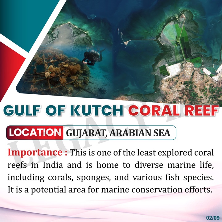 Legacy_ias's tweet photo. Important Coral Reefs In India For UPSC Exam !!
Explore the richness of our #coralreefs, from the Gulf of #Mannar to the #AndamanIslands
#coralreefs #Coralreefsindia #gulfofkutch #Mannar #netraniisland #lakshadweep #UPSCenvironment https://t.co/1rQuQZarfn