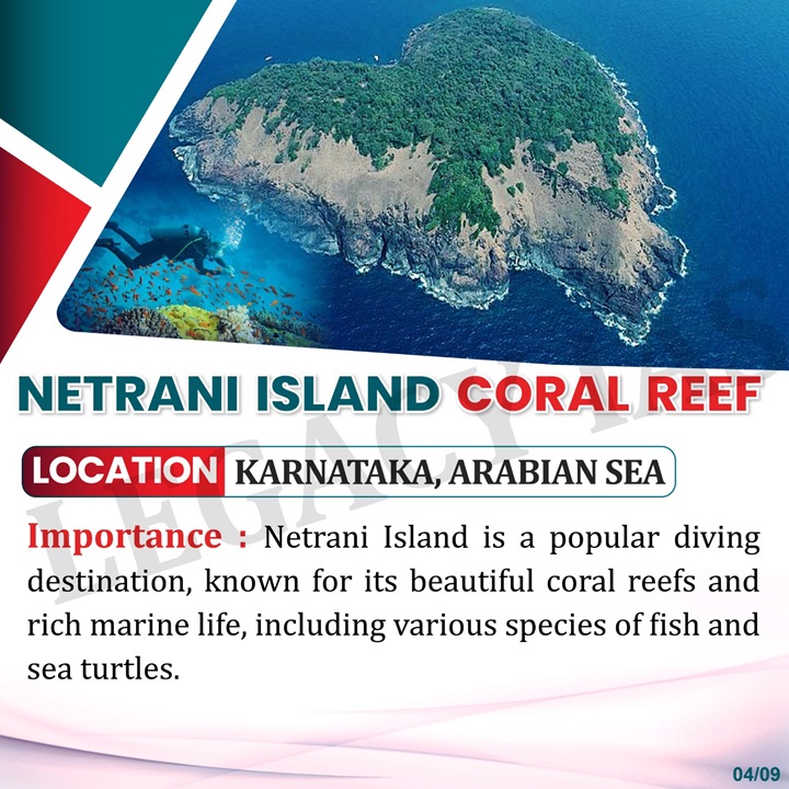 Legacy_ias's tweet photo. Important Coral Reefs In India For UPSC Exam !!
Explore the richness of our #coralreefs, from the Gulf of #Mannar to the #AndamanIslands
#coralreefs #Coralreefsindia #gulfofkutch #Mannar #netraniisland #lakshadweep #UPSCenvironment https://t.co/1rQuQZarfn
