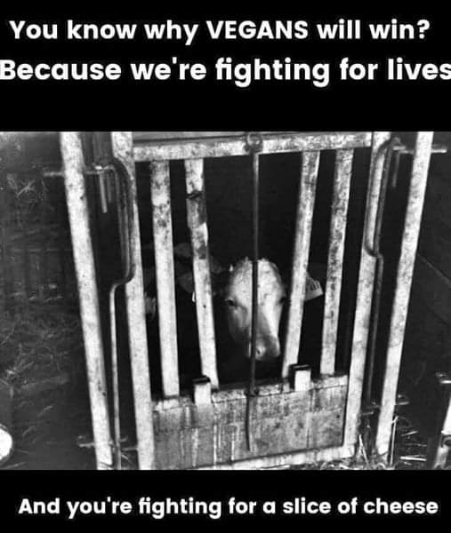 herbivore_club's tweet photo. Be on the right side of history 🐄

#WorldVeganMonth https://t.co/Pqt5iJkd7i