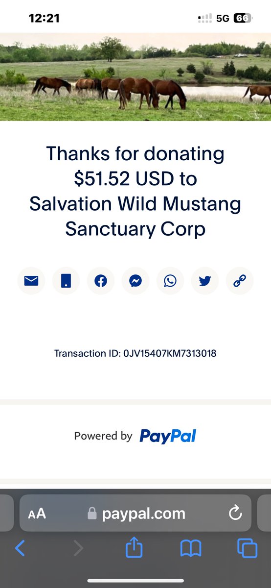 Please help Mustang Sally save Wild horses!! I did, won’t you?!!!