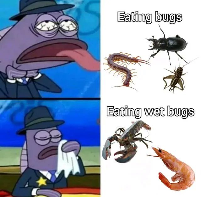 NO CONTEXT HUMANS tweet media