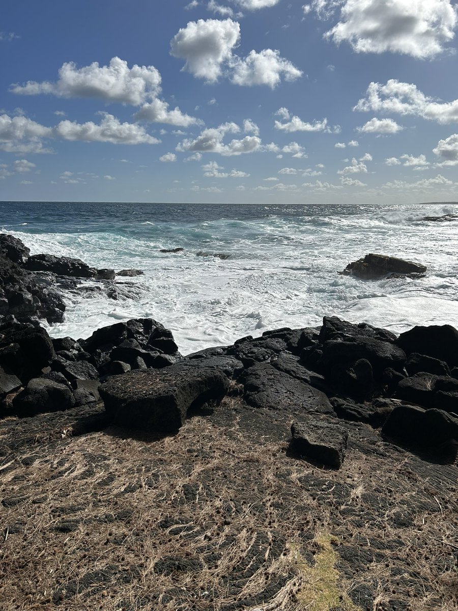 HarborZz's tweet photo. My new home <3 Hawaii https://t.co/XdYauOvBVJ