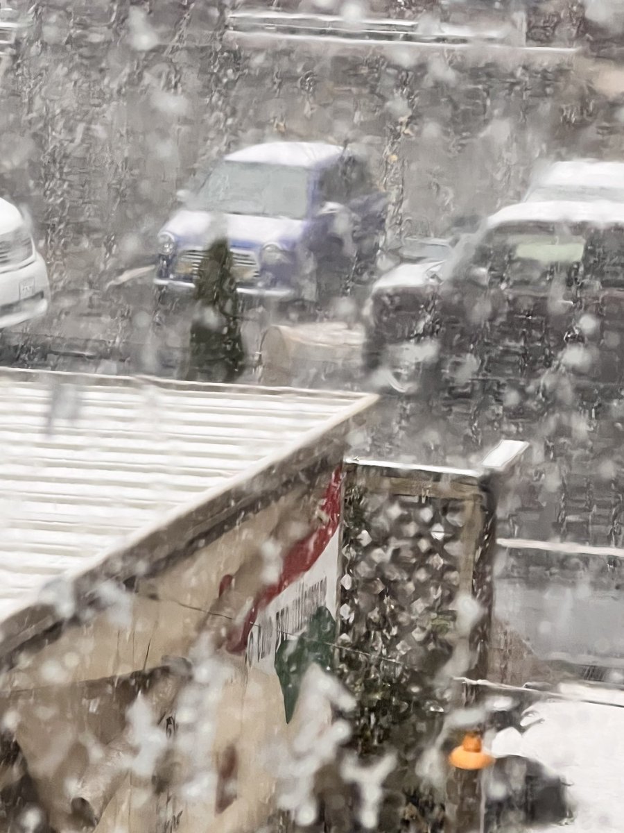 急に吹雪なんですけど⛄️