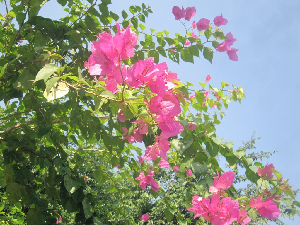ntu_abcd's tweet photo. °❀⋆.ೃ࿔*:･ https://t.co/kwQOc23RTn