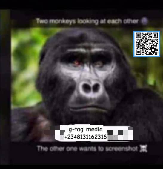 🧘🏾‍♂️🧘🏾 (@gtagmemes) on Twitter photo 