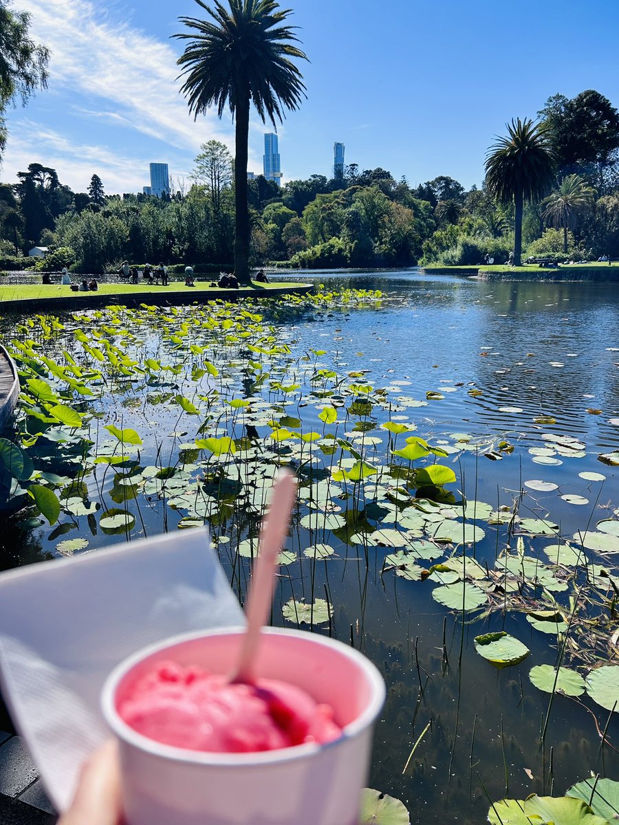 Flutteringkat's tweet photo. Happy Saturday #happyturtle #melbourne #flowers and my pink ice cream π¦sweet (like me obviously!) lol pink to match my β¦.. π©·ππ clothes π https://t.co/fytDILbDMK
