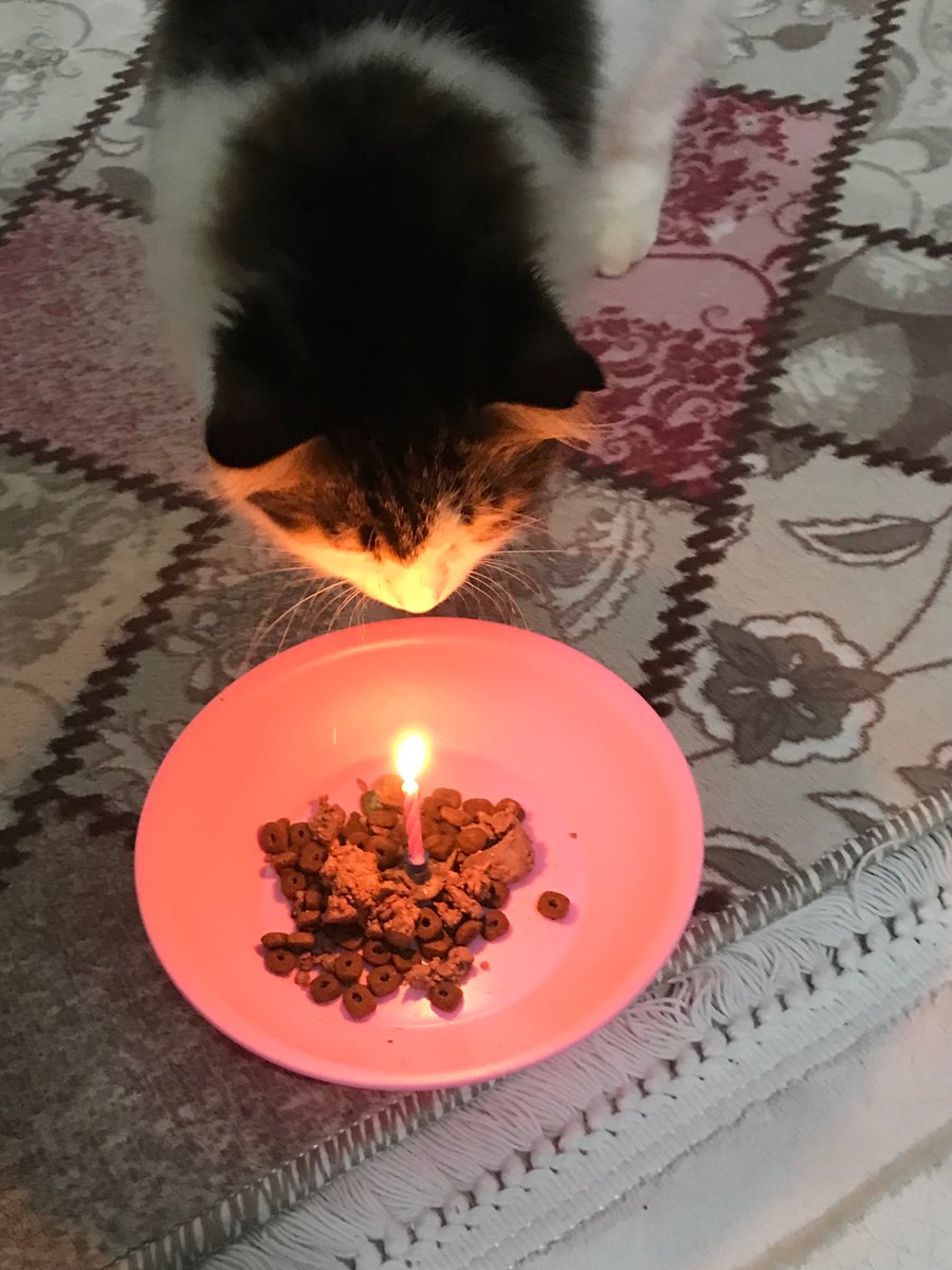 İyi ki doğduk canımın içi nasılda mutlu doğduğuna 🥹🥹☺️