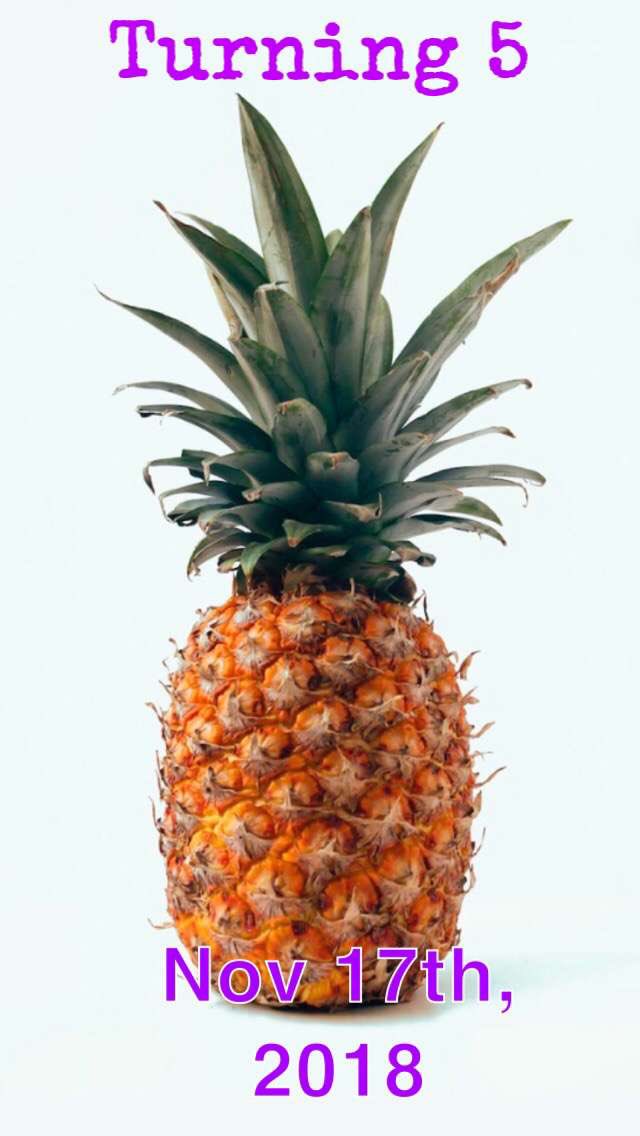 MemesWildcat's tweet photo. Our favorite gameday pineapple turned 5 today🥲
 
Happy birthday, little one. They grow up so fast🥹 https://t.co/KHYCYIteWL