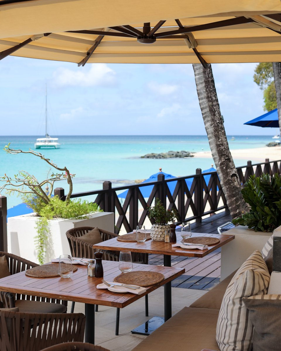 The Sandpiper tweet media