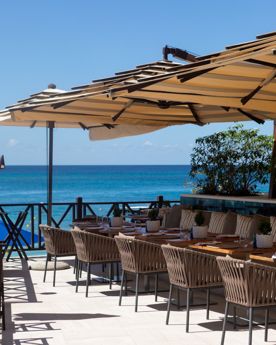 The Sandpiper tweet media