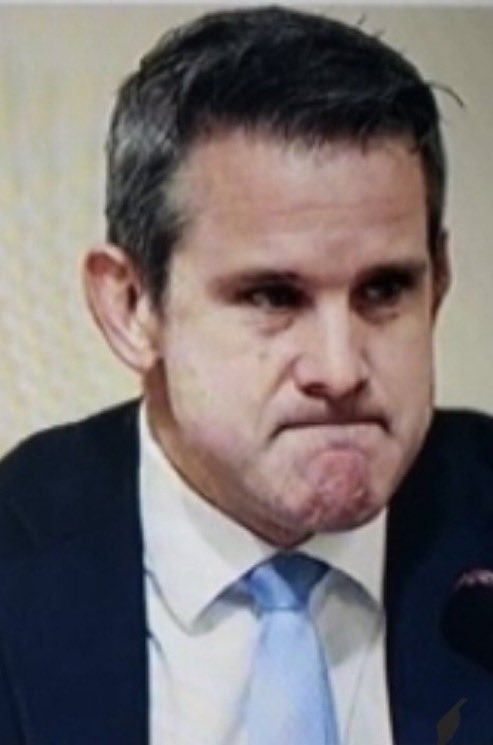 BasedMikeLee's tweet photo. Remember: the people who helped hide the J6 tapes are cut out of the same cloth as those who will tell you that FISA 702 must be reauthorized without reforms—“because search warrants require too much effort.”

Here are two pictures of what some of those people look like: https://t.co/kfQvJGbL5F