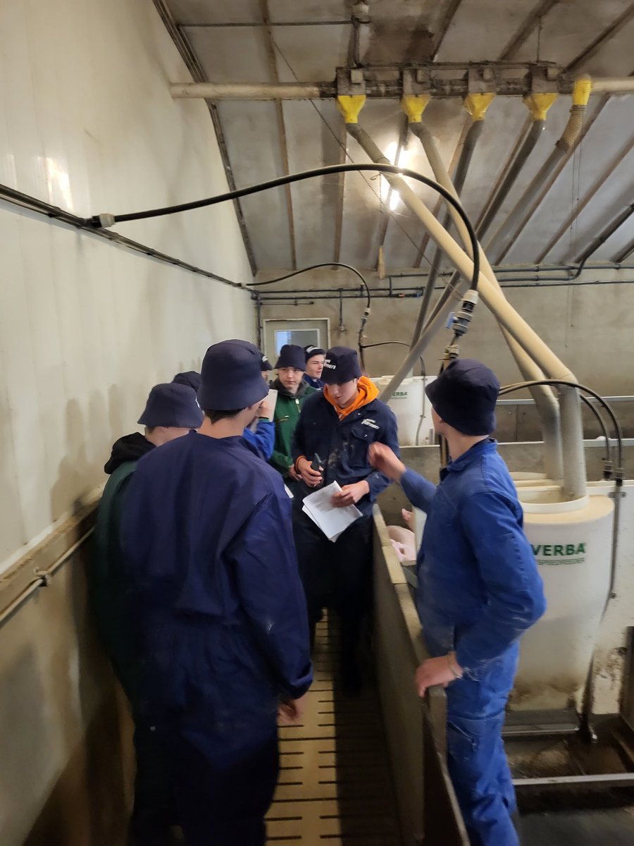 Deze week waren er op ons #varkens bedrijf 4e jaars leerlingen v/h @ZonecollegeBorculo op #excursie. Dit in kader van het onderwerp Dier &amp; Omgeving. Speciale aandacht voor #welzijn, #huisvesting #duurzaamheid en #luchtwassers tijdens m'n rondleiding. <a href="/ForFarmers/">ForFarmers</a>