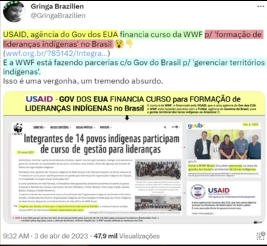 MiyagiThedragon's tweet photo. @AmazoniaAzulBR @EmbaixadaEUA @WhiteHouse https://t.co/vcuT4oOXGk