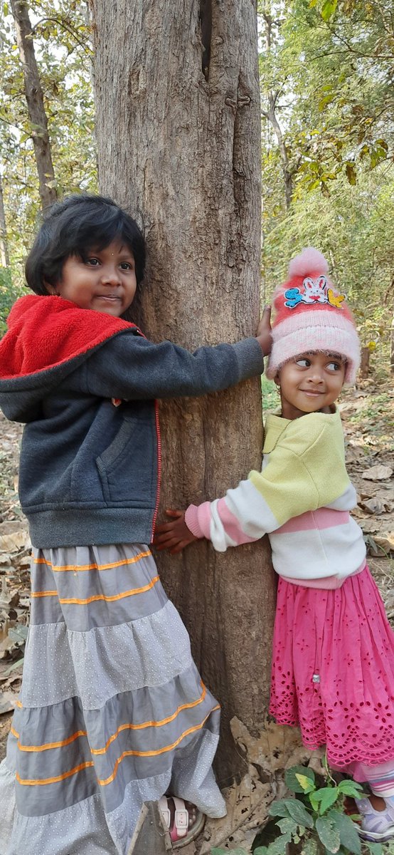 One of d major components of #Forestbathing or #shinrinyoku is 
#Treehugging which helps to connect you directly with Mother #Nature. How many of u so far have experienced this like these cute kids? 😍

Image via @anilkumbala
