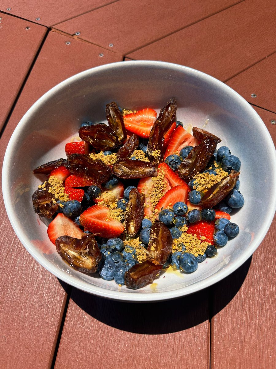 ⚡️🌞 Sol Brah 🌞🐬 tweet media