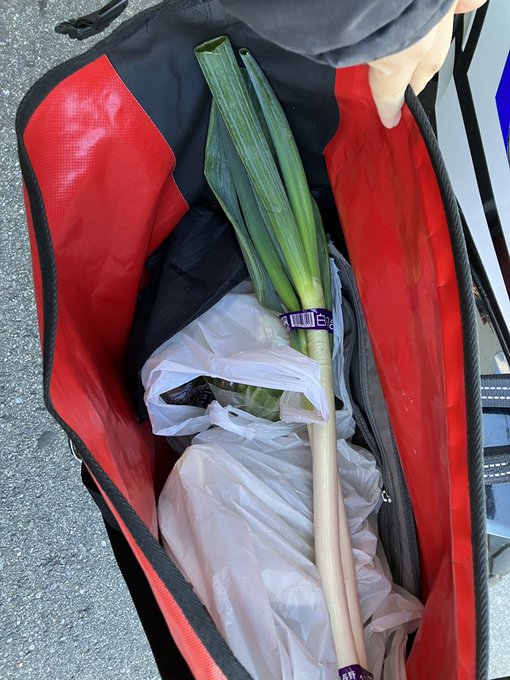 うぉぉぉ…ネギ 