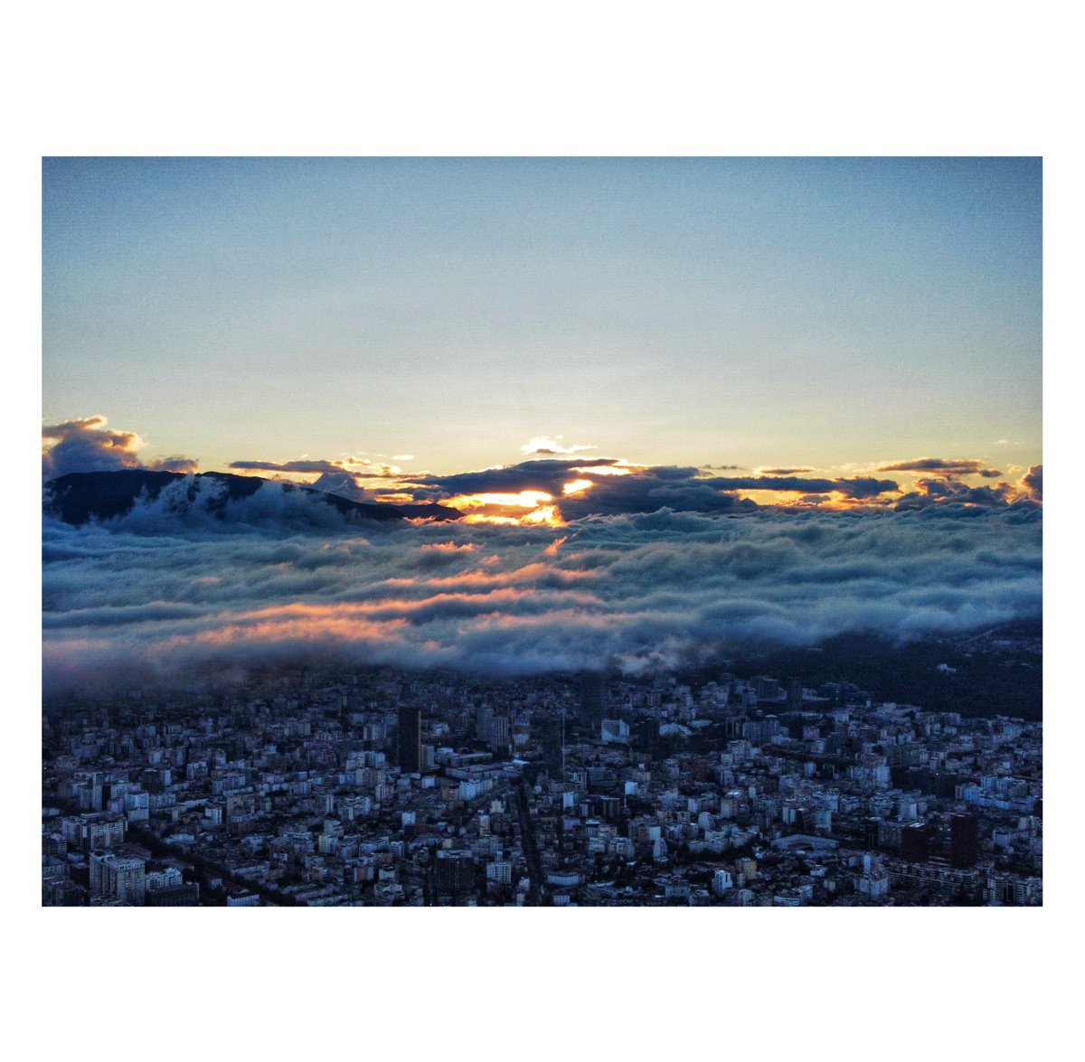 Antonio Çakshiri tweet media