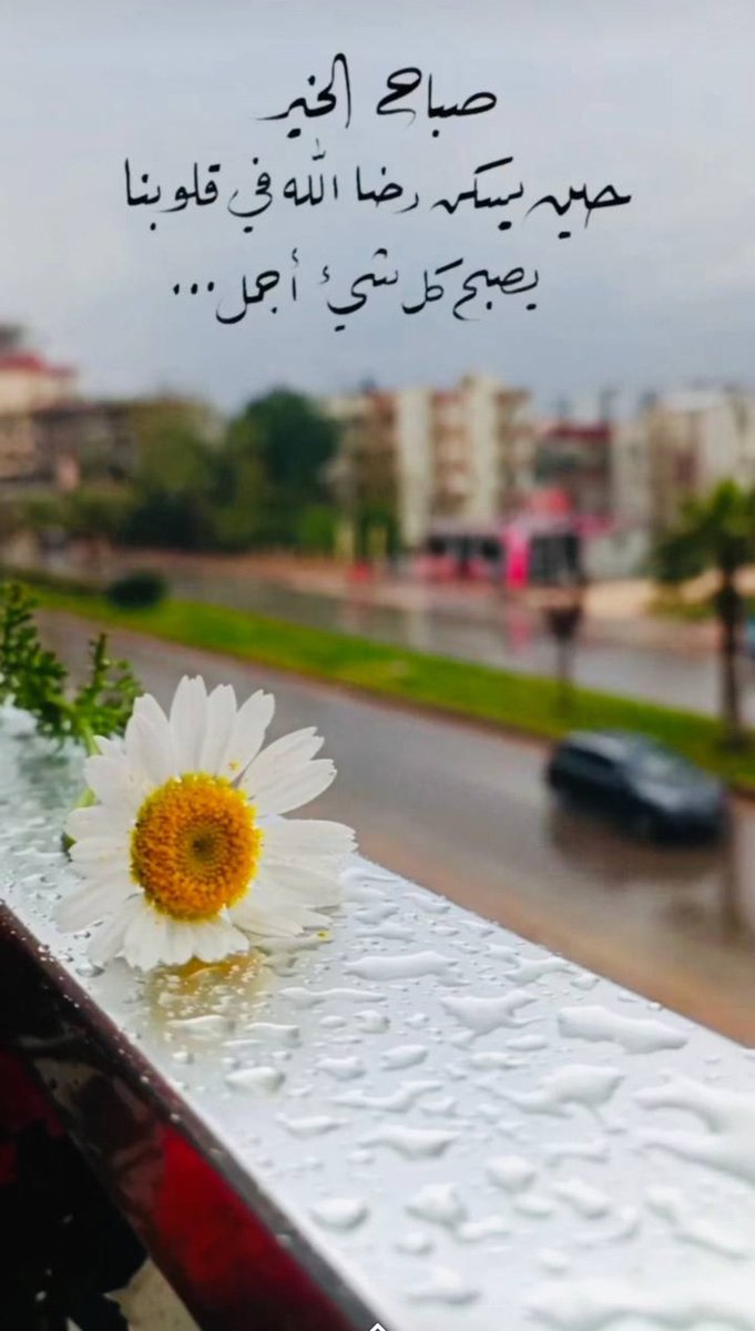 kiaaa6's tweet photo. صباح الخير https://t.co/tysVPUgSf4