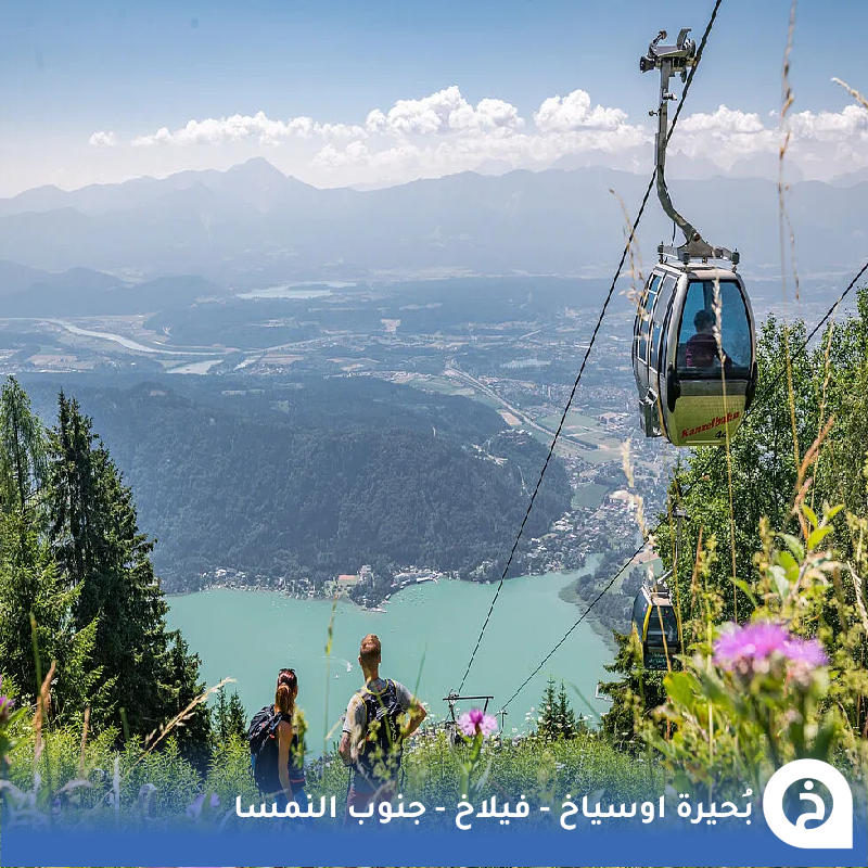 TouristMapsApp's tweet photo. بُحيرة اوسياخ #النمسا🇦🇹 

من أجمل بُحيرات #الجنوب_النمساوي بالقرب من #فيلاخ وهي ثالث أكبر بحيرة في إقليم #كارينثيا تُحيط بها قُرى جميلة وقمم ومعالم تاريخية تعود للقرن الـ11 نقترح لك بعد جولتك الاستراحة في كافية "Candis"🌊⛵️🏔️🏘️⛪️☕️📸😍↓
Lake Ossiach
📍https://t.co/DYniQgICWE

• مُضاف في خريطة النمسا السياحية.