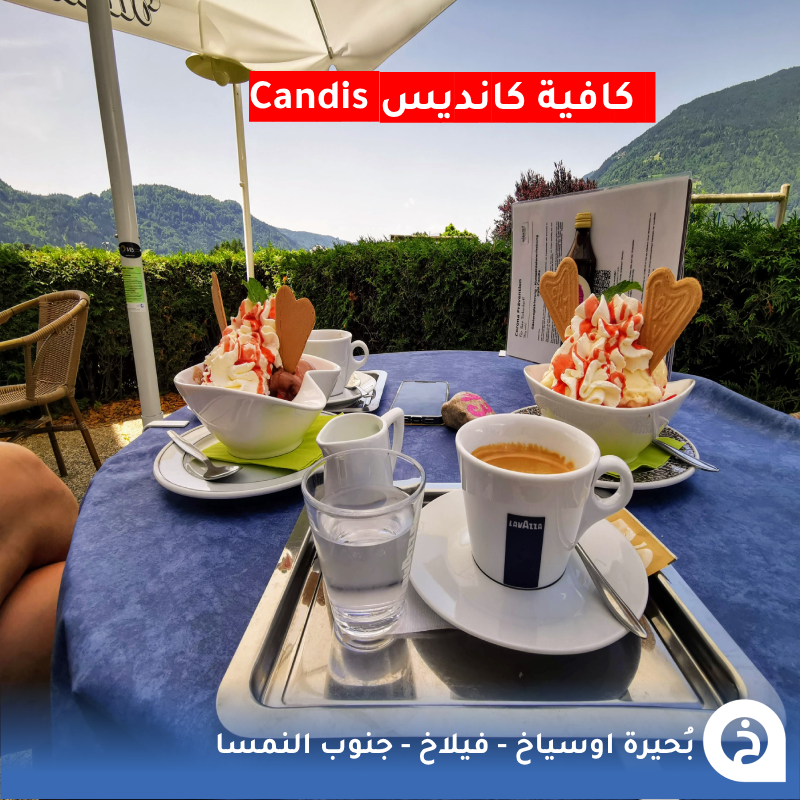 TouristMapsApp's tweet photo. بُحيرة اوسياخ #النمسا🇦🇹 

من أجمل بُحيرات #الجنوب_النمساوي بالقرب من #فيلاخ وهي ثالث أكبر بحيرة في إقليم #كارينثيا تُحيط بها قُرى جميلة وقمم ومعالم تاريخية تعود للقرن الـ11 نقترح لك بعد جولتك الاستراحة في كافية "Candis"🌊⛵️🏔️🏘️⛪️☕️📸😍↓
Lake Ossiach
📍https://t.co/DYniQgICWE

• مُضاف في خريطة النمسا السياحية.
