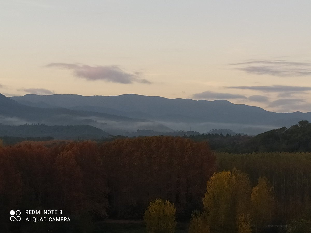 Mon_condensat's tweet photo. Que tota bona Sort i bona energía disponible vingui a mi ara mateix. És benvinguda, i agraïda. Gràcies... bon dia https://t.co/JiYPpZkab8