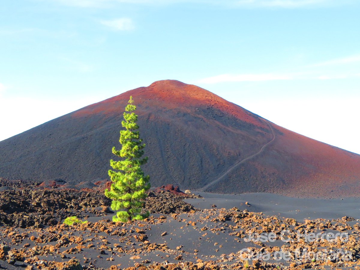 #Hilo
Tal día como hoy d hace 114 años 🔴18 de Noviembre de 1909🔴 a las 14h entró en erupción el Volcán de Chinyero 🌋 (Santiago dl Teide), ha sido la última erupción volcánica ocurrida en la Isla de Tenerife, la anterior erupción fue la d Chahorra en el P.N Teide año 1798  👇