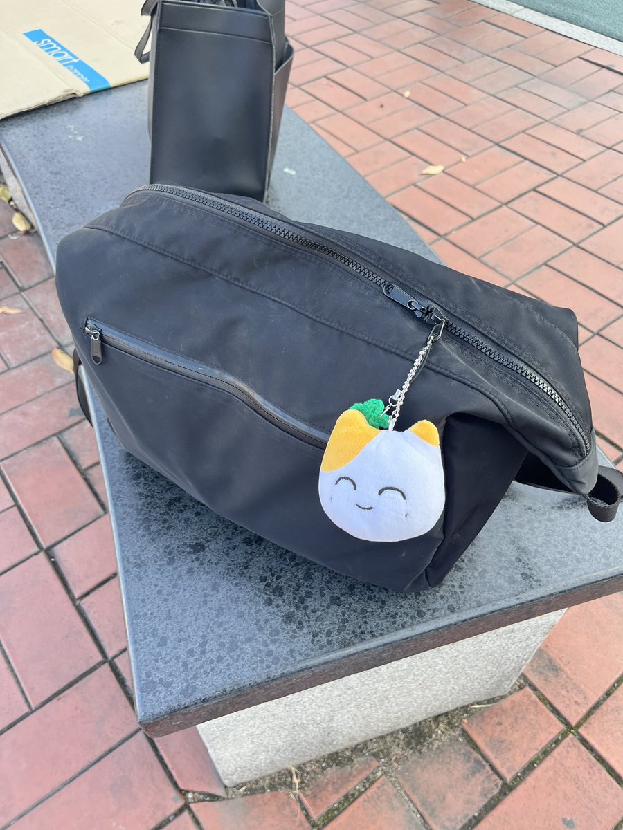 도잇 tweet media