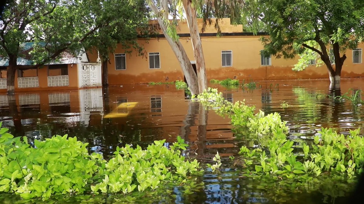 SONNALIVE's tweet photo. Baladweyn General Hospital, the main health facility in Hiraan region, submerged by flash floods. All services halted, patients and staff evacuated. #SomaliaFloods #ElNino #Baladweyn #Hiraan https://t.co/7Cssae8WUX